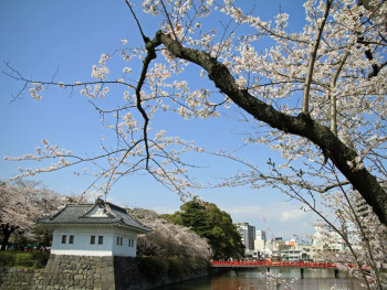 Nearby Hakone Nearby Hakone