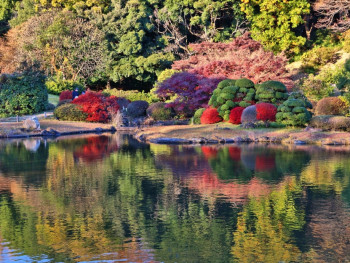 Autumn in Koishikawa Botanical Garden Autumn in Koishikawa Botanical Garden
