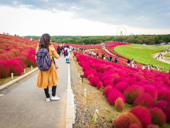 A short journey of about 30 minutes from Tokyo
