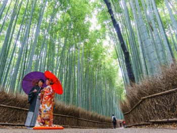 Arashiyama Bamboo Grove, Kyoto, Japan Arashiyama Bamboo Grove, Kyoto, Japan