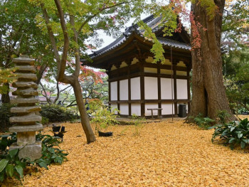 A hidden gem in the midst of the bustling city of Yokoh