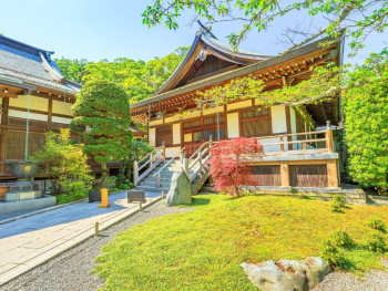 Hokoku-ji Temple, aka the Bamboo Temple