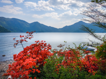 Most popular day trips to Lake Chuzenji Most popular day trips to Lake Chuzenji