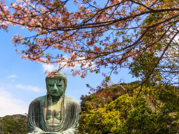 The Great Buddha of Kamakura The Great Buddha of Kamakura