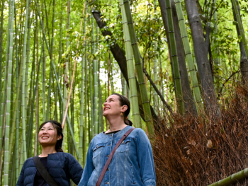 Visitors exploring Arashiyama Bamboo Grove, Japan