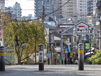 Yanaka city, Japan