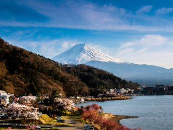 Tokyo private day tours are a great escape from the bus