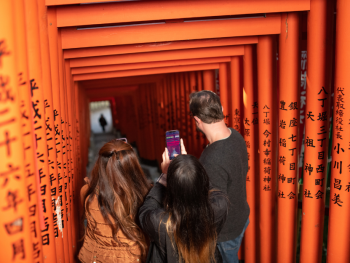 Tokyo Multi Day Tours: Come Join Me for Yours!