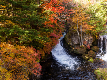 Day trips from Tokyo to Nikko National park, Japan
