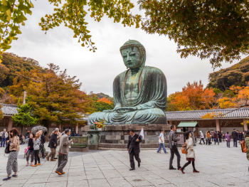 Find Great Buddha with City Unscripted hosts