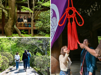 Embrace the pure joy of exploring Kyoto