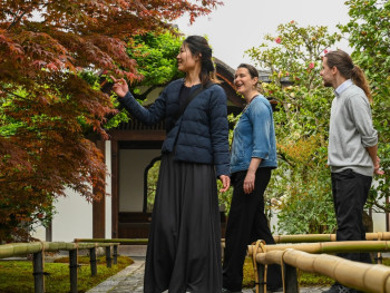 Enjoy a picnic under the cherry blossoms