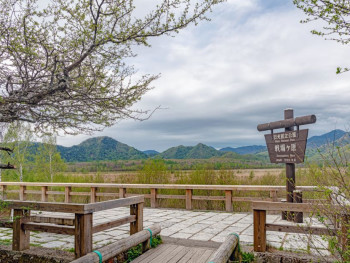 Hiking through the natural beauty of Nikko