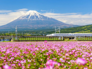 This journey takes you on unique journey to Mount Fuji
