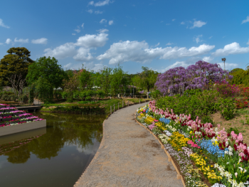 Day trips from the largest city to Ashikaga Flower Park Day trips from the largest city to Ashikaga Flower Park