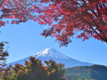 Day trip from Tokyo to Mount Fuji, Japan