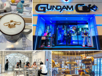 A quirky experience at a themed cafe
