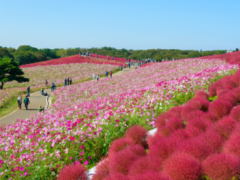 Enjoy the breathtaking scenery Enjoy the breathtaking scenery