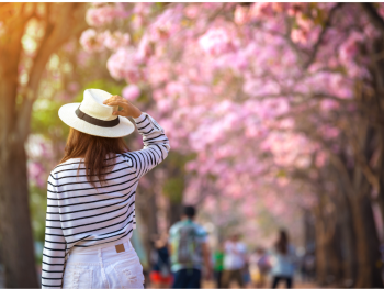 Travelers exploring Tokyo's iconic landmarks
