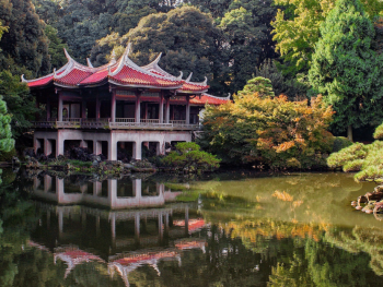 Tokyo parks in yellow colors Tokyo parks in yellow colors