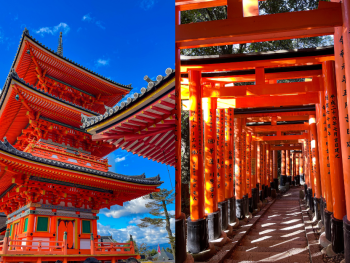 Marvel at Architectural Wonders