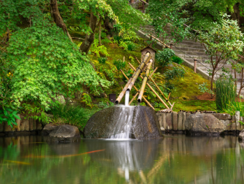 Scenic Nature Spots
