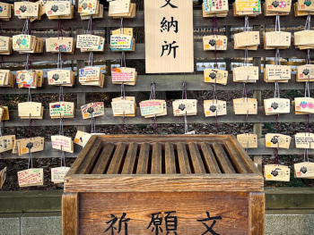 Discovering Hidden Temples and Shrines