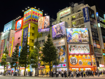 Diving into Anime and Tech Hub