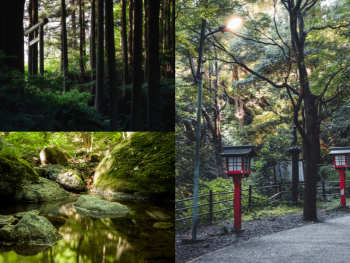 Mount Takao (Takaosan)