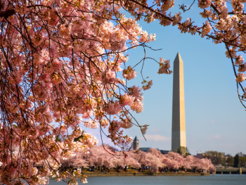 Tidal Basin