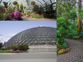 Bloedel Conservatory