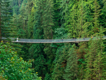 Experience Capilano Suspension Bridge Park