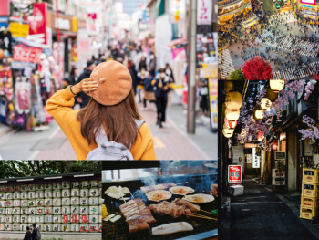 Tokyo Express: Uncover the City in 4 Hours