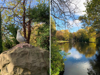 St Stephen’s Green Park