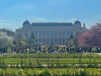 Parisian Gardens