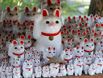 Gotokuji Temple: The Birthplace of the Lucky Cat