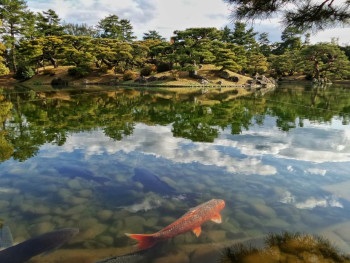 Japanese Garden