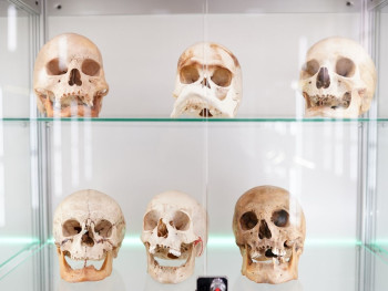 MUSA Anatomy Museum