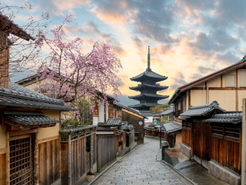 Experiencing cherry blossoms in Kyoto