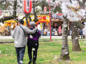 Kyoto cherry blossom tours Kyoto cherry blossom tours