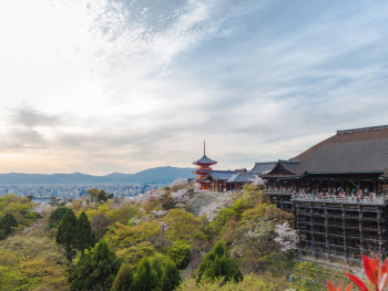 Bird's eye view opportunities for best viewing experien
