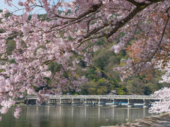 The picturesque Togetsukyo Bridge