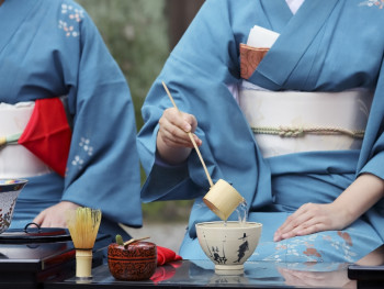 Tea ceremony amidst the cherry blossoms