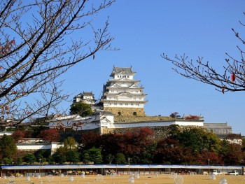 Trees framing a view of Himeji Castle Trees framing a view of Himeji Castle