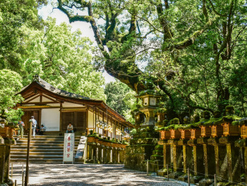 Photo by Alex on Unsplash, Kasuga Taisha, 160 Kasuganochō, Nara, Japan, Photo by Alex on Unsplash, Kasuga Taisha, 160 Kasuganochō, Nara, Japan,