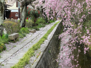 Osaka in April, viewed from a quiet side path