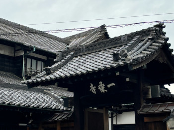Traditional Shinto architecture at Sumiyoshi Taisha with distinctive curved rooflines and red bridges Photo by K S on Unsplash Traditional Shinto architecture at Sumiyoshi Taisha with distinctive curved rooflines and red bridges Photo by K S on Unsplash