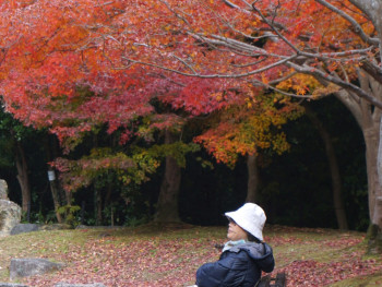 Contemplative traveler sitting in a traditional Osaka park or garden, journal in hand, representing thoughtful trip planning Photo by Syadza Salsabyla on Unsplash