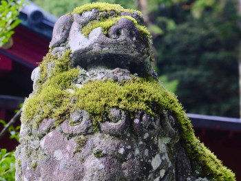 Hozenji Temple water statue with moss Photo by Leo Okuyama on Unsplash Hozenji Temple water statue with moss Photo by Leo Okuyama on Unsplash