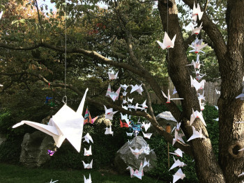 Paper cranes at Children's Peace Monument Photo by Amy Kimmis on Unsplash Paper cranes at Children's Peace Monument Photo by Amy Kimmis on Unsplash